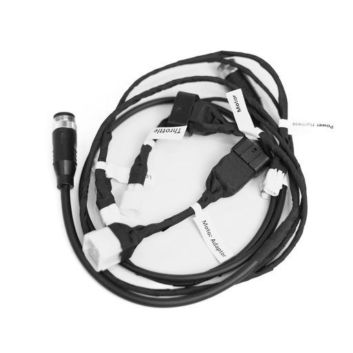 [E-PU-AA28-XX-X] Light Bee Race Harness